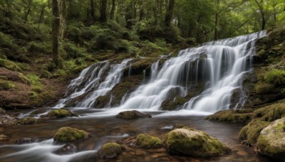 outdoors,day,water,tree,no humans,nature,scenery,forest,rock,river,waterfall,stream,landscape,moss