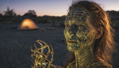 1girl,solo,long hair,brown hair,holding,closed mouth,outdoors,water,blurry,tree,blurry background,colored skin,portrait,monster,realistic,alien,1boy,male focus,sky,hand up,black eyes,messy hair,sunset,watercraft,green skin,sunrise,yellow skin,wrinkled skin