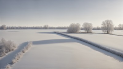 HQ,monochrome,outdoors,sky,day,water,tree,no humans,shadow,grass,nature,scenery,snow,forest,road,winter,bare tree,river,greyscale,reflection,fog