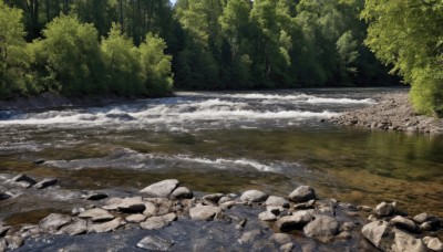 outdoors,day,water,tree,no humans,beach,sunlight,nature,scenery,forest,rock,river,shore,stream