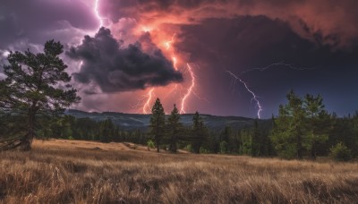 outdoors,sky,cloud,tree,no humans,cloudy sky,grass,nature,scenery,forest,mountain,electricity,lightning,landscape,red sky,night,horizon,field