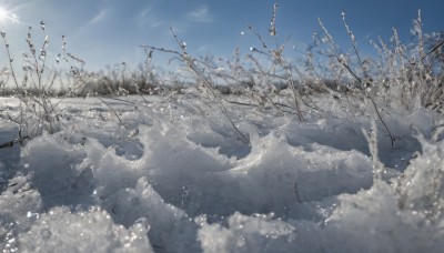 outdoors,sky,day,cloud,water,blurry,tree,blue sky,no humans,nature,scenery,snow,reflection,mountain,sun,branch,winter,bare tree,landscape,sunlight,lens flare