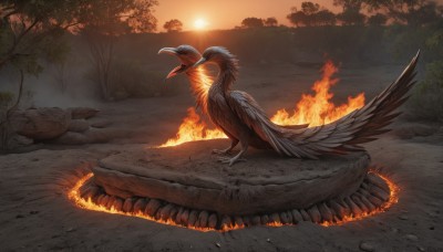 solo,outdoors,wings,sky,tree,pokemon (creature),no humans,bird,grass,fire,nature,scenery,forest,sunset,rock,sun,molten rock,water,animal,feathers,realistic,animal focus