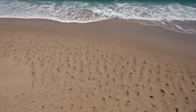 outdoors,day,water,no humans,bird,ocean,beach,scenery,sand,waves,shore,footprints,from above