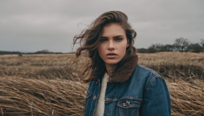 1girl,solo,long hair,looking at viewer,blue eyes,brown hair,shirt,jacket,white shirt,upper body,outdoors,parted lips,open clothes,sky,day,cloud,blurry,open jacket,lips,blurry background,denim,blue jacket,wind,freckles,pocket,realistic,field,grey sky,overcast,denim jacket,signature,tree,floating hair,depth of field,cloudy sky,grass,jeans