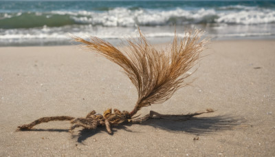 outdoors, day, water, blurry, no humans, ocean, beach, sand