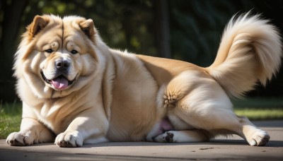 HQ,open mouth,tail,closed eyes,outdoors,lying,day,tongue,signature,blurry,tree,no humans,blurry background,animal,fangs,on side,grass,on stomach,nature,forest,dog,realistic,animal focus,looking at viewer,full body,teeth,tongue out,black eyes,sleeping,puppy