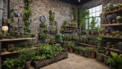 flower,day,indoors,no humans,window,table,sunlight,plant,scenery,clock,potted plant,lamp,wall,ruins,vines,brick wall,shelf,flower pot,moss,barrel,overgrown,sign,door,ceiling light,ivy