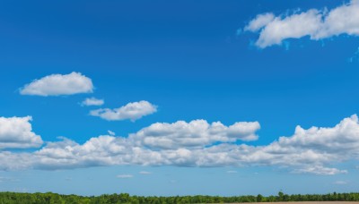 outdoors,sky,day,cloud,tree,blue sky,no humans,cloudy sky,grass,nature,scenery,forest,landscape,ocean,horizon