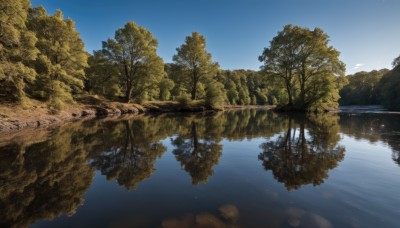 outdoors,sky,day,cloud,water,tree,blue sky,no humans,bird,nature,scenery,forest,reflection,river,landscape,lake,reflective water