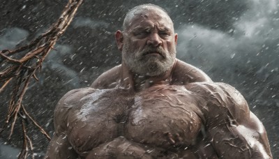 solo,looking at viewer,short hair,1boy,closed mouth,nipples,upper body,white hair,male focus,outdoors,sky,cloud,muscular,facial hair,abs,cloudy sky,pectorals,muscular male,bara,beard,snow,large pectorals,rain,veins,topless male,snowing,mature male,realistic,mustache,bald,manly,old,chest hair,old man,arm hair,grey sky,veiny arms,closed eyes,nude,scar,thick eyebrows,scar on face,scar across eye,wrinkled skin