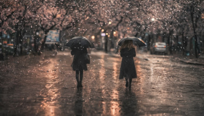 long hair, multiple girls, brown hair, holding, 2girls, standing, outdoors, from behind, blurry, tree, coat, petals, night, umbrella, cherry blossoms, ground vehicle, scenery, motor vehicle, reflection, rain, holding umbrella, car, road, dark, transparent, street, transparent umbrella, crosswalk