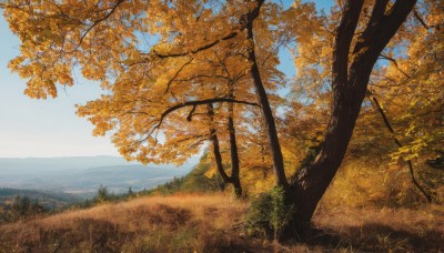 outdoors,sky,day,cloud,tree,blue sky,no humans,leaf,grass,nature,scenery,forest,mountain,autumn leaves,autumn,landscape,path,water,horizon