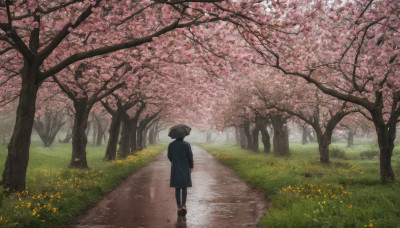 solo, black hair, 1boy, standing, flower, outdoors, day, pants, from behind, tree, coat, umbrella, grass, cherry blossoms, scenery, walking, holding umbrella, road, path