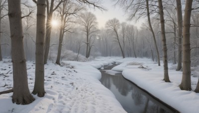 monochrome,outdoors,sky,tree,no humans,nature,scenery,snow,forest,reflection,road,winter,lamppost,bare tree,sunlight,ice,sun,landscape,footprints