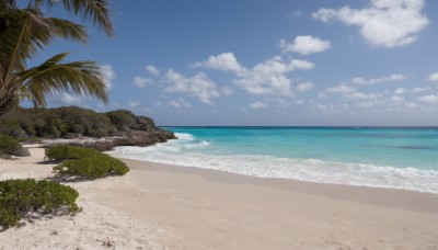 outdoors,sky,day,cloud,water,tree,blue sky,no humans,ocean,beach,cloudy sky,nature,scenery,rock,sand,palm tree,horizon,summer,waves,shore,plant,island