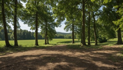 outdoors,sky,day,cloud,tree,blue sky,no humans,shadow,sunlight,grass,nature,scenery,forest,mountain,road,bush,landscape,path