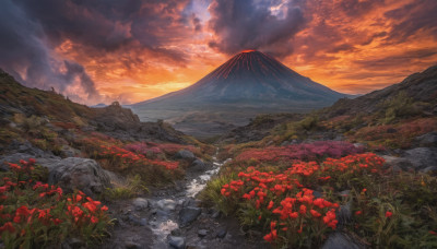 flower, outdoors, sky, cloud, no humans, cloudy sky, grass, red flower, nature, scenery, sunset, rock, mountain, field, river, landscape, mountainous horizon