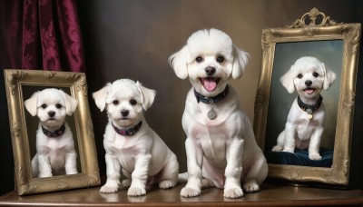 HQ,looking at viewer,open mouth,blue eyes,tongue,tongue out,black eyes,collar,no humans,animal,dog,realistic,animal focus,picture frame,painting (object),portrait (object),sitting,indoors,photo (object),animal collar