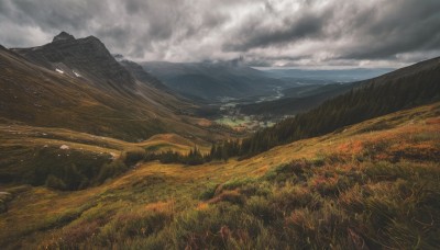 flower,outdoors,sky,day,cloud,no humans,cloudy sky,grass,nature,scenery,mountain,field,landscape,mountainous horizon,hill