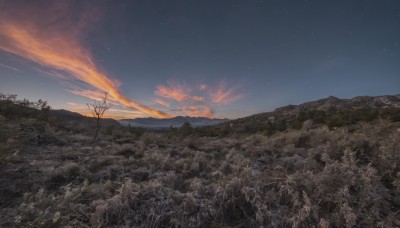 outdoors,sky,cloud,tree,no humans,night,cloudy sky,grass,star (sky),nature,night sky,scenery,forest,starry sky,sunset,mountain,bare tree,twilight,landscape,mountainous horizon,gradient sky,field