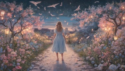 1girl,solo,long hair,brown hair,dress,standing,flower,short sleeves,outdoors,sky,water,from behind,white dress,tree,night,bird,grass,cherry blossoms,star (sky),night sky,scenery,pink flower,starry sky,walking,lantern,facing away,road,lamppost,path,barefoot,cloud,signature,blue dress,sandals,plant,sunset,lamp,bush,wide shot