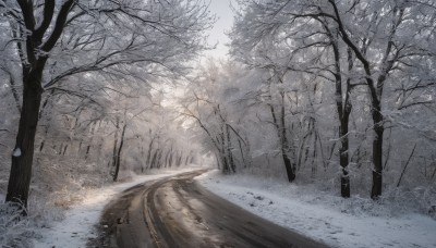 outdoors,sky,day,tree,no humans,nature,scenery,snow,forest,winter,bare tree,grass,ground vehicle,motor vehicle,snowing,realistic,road,landscape,path