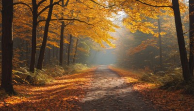 outdoors,day,tree,dutch angle,no humans,leaf,sunlight,grass,nature,scenery,forest,light rays,road,autumn leaves,maple leaf,sunbeam,autumn,landscape,path,sunset,orange theme