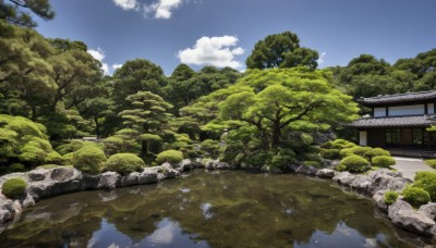 outdoors,sky,day,cloud,water,tree,blue sky,no humans,cloudy sky,grass,building,nature,scenery,forest,reflection,rock,architecture,house,east asian architecture,river,landscape,pond,reflective water