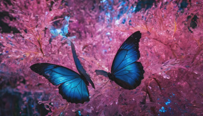 blurry, no humans, depth of field, bug, butterfly, scenery, blurry foreground, blue butterfly