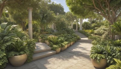 outdoors,sky,day,cloud,tree,blue sky,no humans,shadow,sunlight,grass,plant,nature,scenery,stairs,potted plant,road,bush,shade,flower pot,path,leaf,pavement