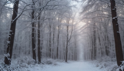 monochrome, outdoors, tree, no humans, sunlight, nature, scenery, snow, forest, winter, bare tree