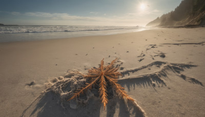 outdoors, wings, sky, day, no humans, beach, scenery, mountain, sand, sun, desert