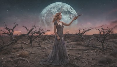 1girl,solo,long hair,breasts,blonde hair,brown hair,dress,cleavage,medium breasts,standing,outdoors,sky,black dress,tree,night,bird,moon,star (sky),night sky,scenery,full moon,starry sky,long dress,bare tree,holding,full body,closed eyes,cloud,planet,surreal