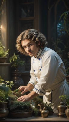 solo,looking at viewer,short hair,brown hair,shirt,hair ornament,long sleeves,1boy,brown eyes,closed mouth,white shirt,upper body,male focus,parted lips,indoors,blurry,black eyes,lips,leaning forward,buttons,blurry background,facial hair,plant,beard,curly hair,realistic,nose,mustache,potted plant,flower pot,blue eyes,blonde hair,apron