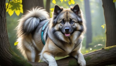 HQ,solo,looking at viewer,open mouth,blue eyes,outdoors,day,tongue,tongue out,blurry,tree,no humans,animal,leaf,fangs,nature,forest,dog,realistic,branch,animal focus,falling leaves,signature,blurry background,wolf