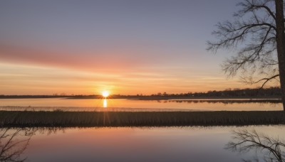 outdoors,sky,cloud,water,tree,no humans,sunlight,grass,nature,scenery,reflection,sunset,sun,horizon,bare tree,lake,gradient sky,orange sky,blue sky,lens flare,road,power lines,yellow sky