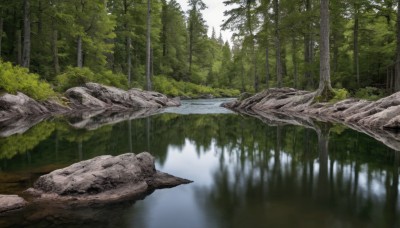 outdoors,day,water,tree,no humans,nature,scenery,forest,reflection,rock,bamboo,river,landscape,lake