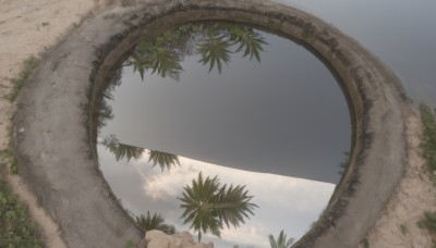 outdoors,sky,day,cloud,water,tree,blue sky,no humans,ocean,leaf,beach,grass,plant,nature,scenery,reflection,sand,horizon,cloudy sky,palm tree