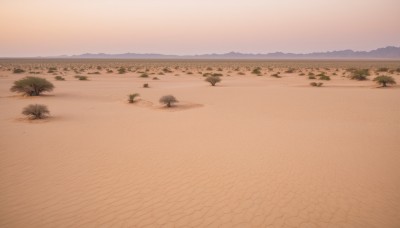 outdoors,sky,day,tree,no humans,shadow,beach,grass,plant,nature,scenery,mountain,sand,road,landscape,shore,desert,water,ocean,leaf,horizon,waves