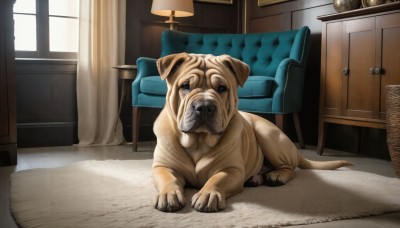 HQ,solo,sitting,indoors,no humans,window,animal,chair,table,curtains,realistic,lamp,animal focus,armchair,day,sunlight,couch,dog,basket,light,statue,carpet,rug,cabinet