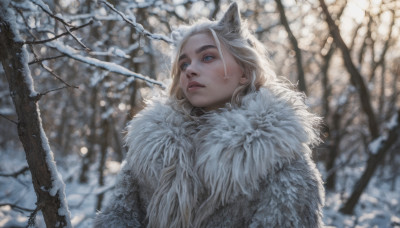 1girl, solo, long hair, blue eyes, animal ears, upper body, white hair, outdoors, parted lips, blurry, tree, lips, fur trim, blurry background, looking up, snow, realistic, nose, branch, winter clothes, winter, bare tree