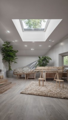 day,indoors,tree,no humans,window,chair,table,sunlight,plant,scenery,wooden floor,potted plant,lamp,stool,ceiling,carpet,ceiling light,rug,reflective floor,wooden chair,light