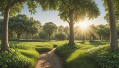 flower,outdoors,sky,day,cloud,tree,blue sky,no humans,sunlight,grass,plant,nature,scenery,lens flare,forest,sun,road,bush,path,landscape