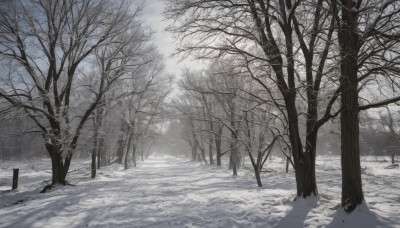 monochrome,outdoors,sky,day,cloud,tree,no humans,sunlight,nature,scenery,snow,forest,winter,bare tree,landscape,footprints,greyscale,multiple boys,road,grey theme