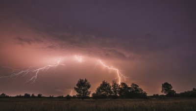 outdoors,sky,cloud,tree,no humans,cloudy sky,grass,nature,scenery,forest,sunset,electricity,lightning,red sky,monochrome,bird,bug,plant