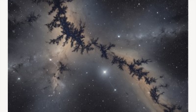 outdoors,sky,cloud,star (symbol),tree,no humans,night,leaf,star (sky),night sky,scenery,starry sky,reflection,branch,shooting star,milky way,dutch angle,plant,fantasy