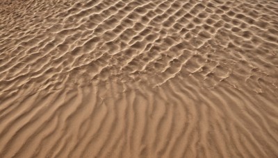 monochrome,outdoors,water,no humans,bird,ocean,from above,traditional media,beach,scenery,sand,waves,shore,brown theme