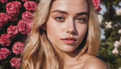 1girl,solo,long hair,looking at viewer,blonde hair,hair ornament,bare shoulders,brown eyes,closed mouth,collarbone,flower,hair flower,blurry,lips,eyelashes,makeup,depth of field,blurry background,portrait,pink flower,freckles,realistic,nose,brown hair,parted lips,thick eyebrows,close-up