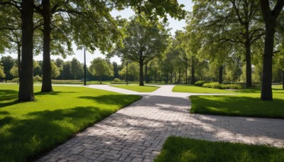 outdoors,sky,day,cloud,tree,blue sky,no humans,shadow,sunlight,grass,nature,scenery,forest,road,bush,shade,lamppost,path,pavement,park,tree shade